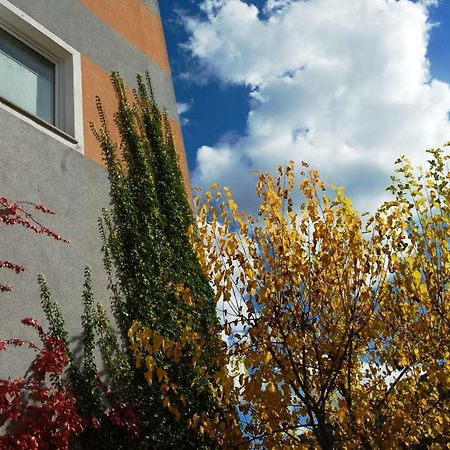 Hisa Posebne Sorte Kodreti Zewnętrze zdjęcie